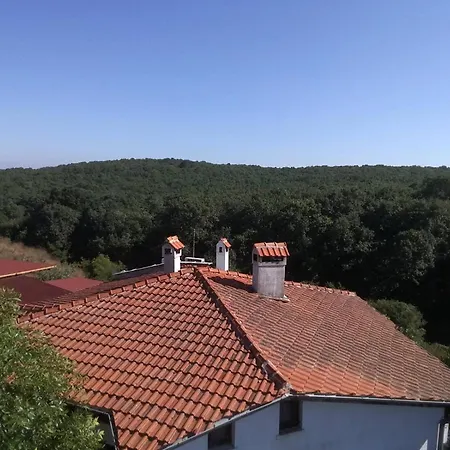 фани Гостевой дом 3*