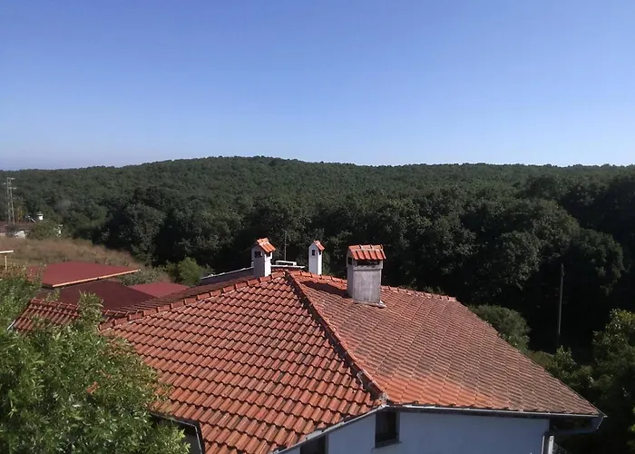 фани Gasthuis 3*