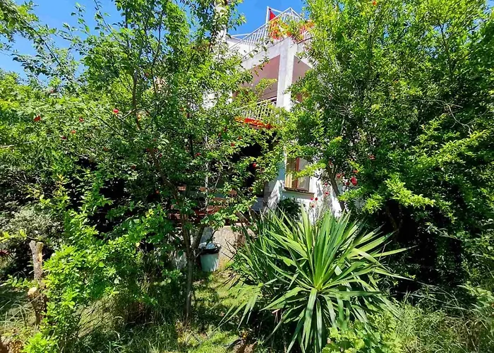 Къща за гости фани Синеморец